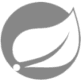 Spring Boot